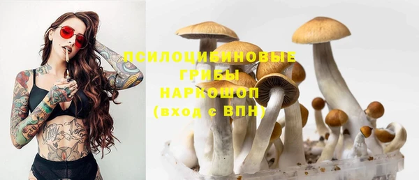 круглые Зеленокумск