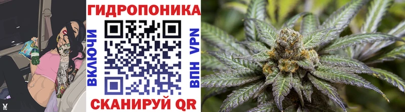 Канабис гибрид  Купить где  Лаишево 